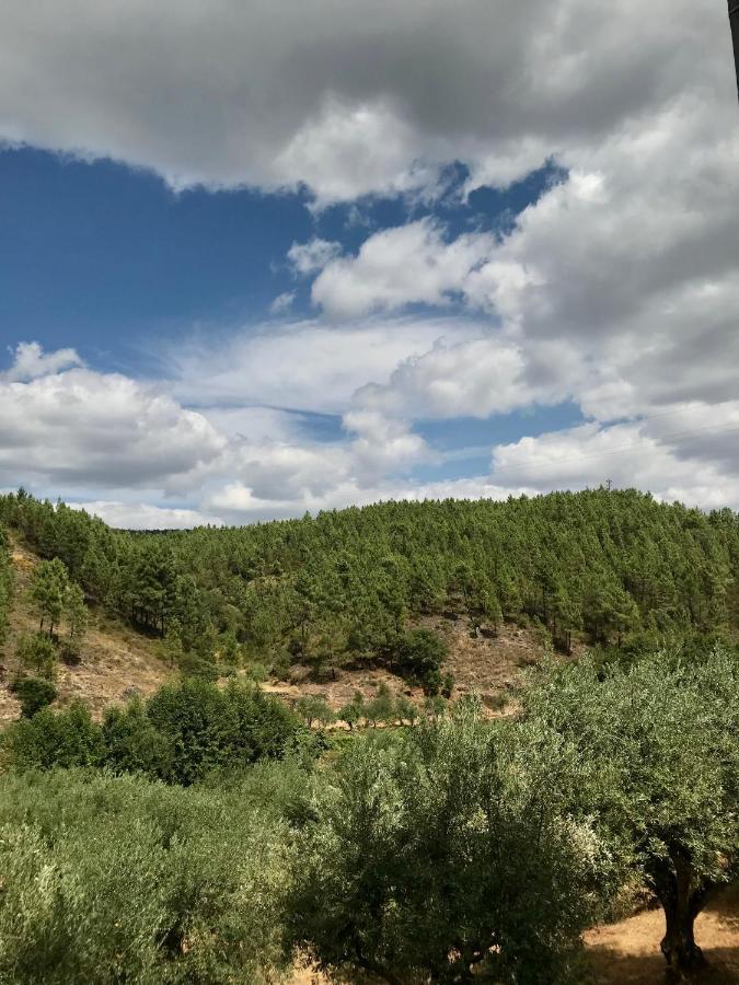 Thistle Local Holiday home Gatas